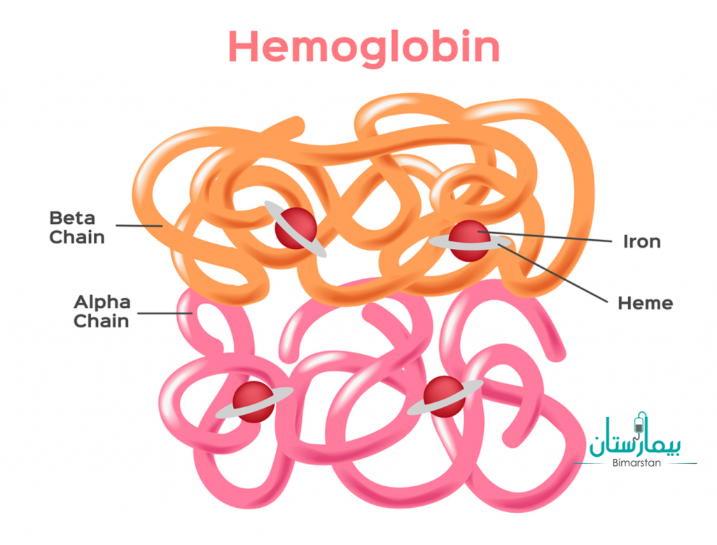 فحص الهيموجلوبين في الدم | كيف يتم اجراءه؟ وعلام تدل نتائجه؟